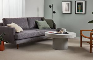 Read more about the article Carpet Replacement: What you need to know