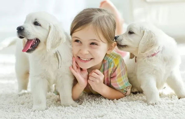 Solomons Flooring - Magic Ideas