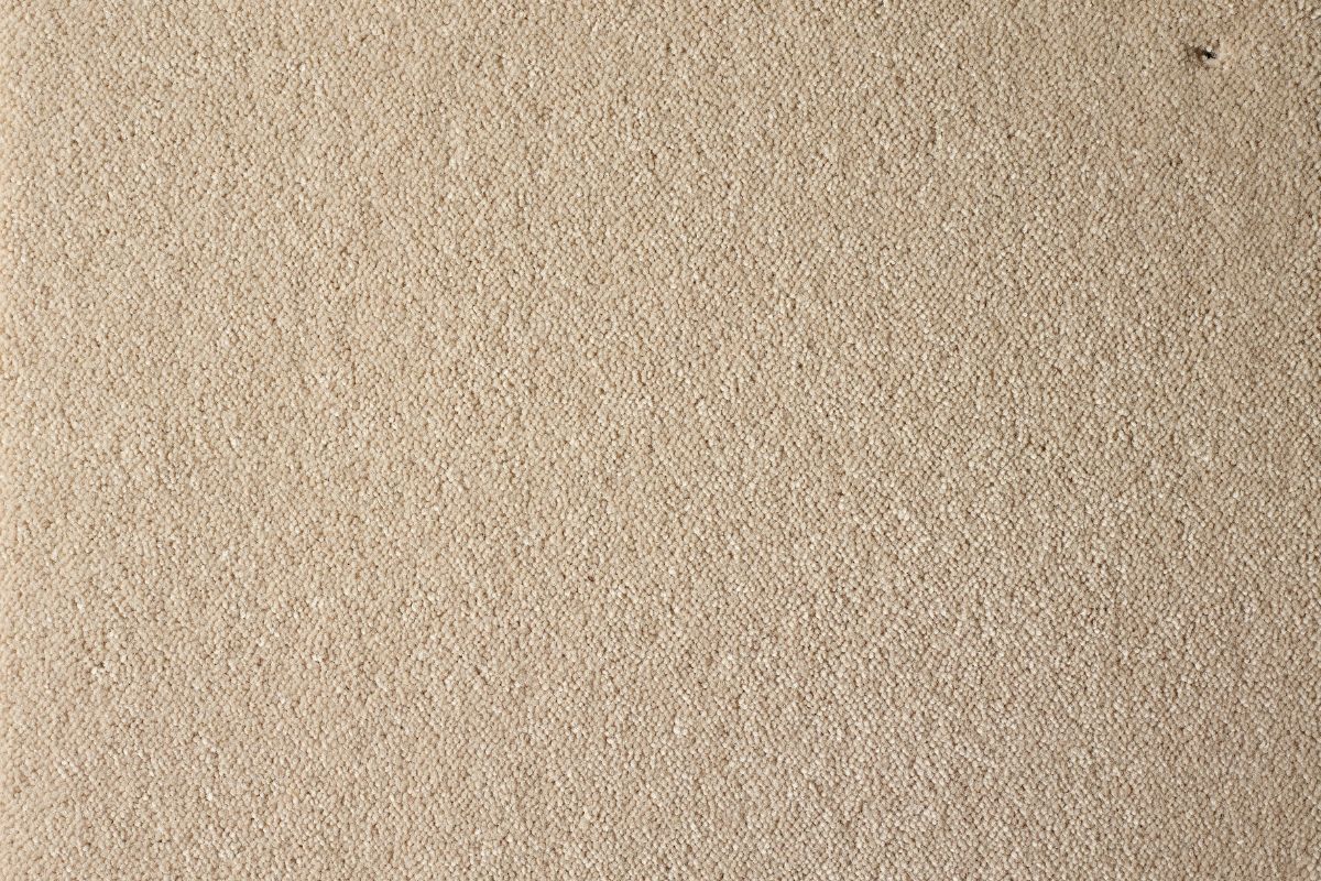 Solomons Flooring - surprise-vogue-glamour