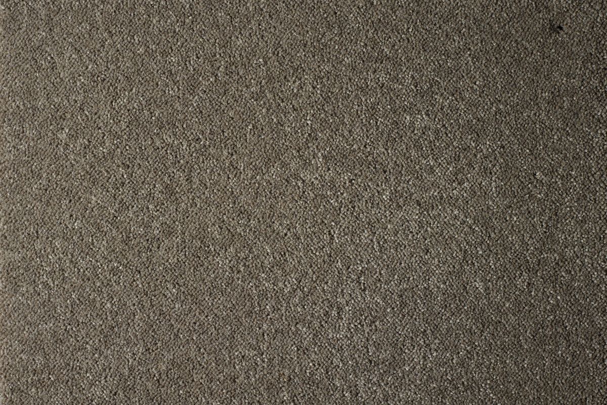 Solomons Flooring - judge-vogue-glamour