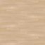 Solomons Laminate CXP00451