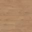 Solomons Laminate CXP00622