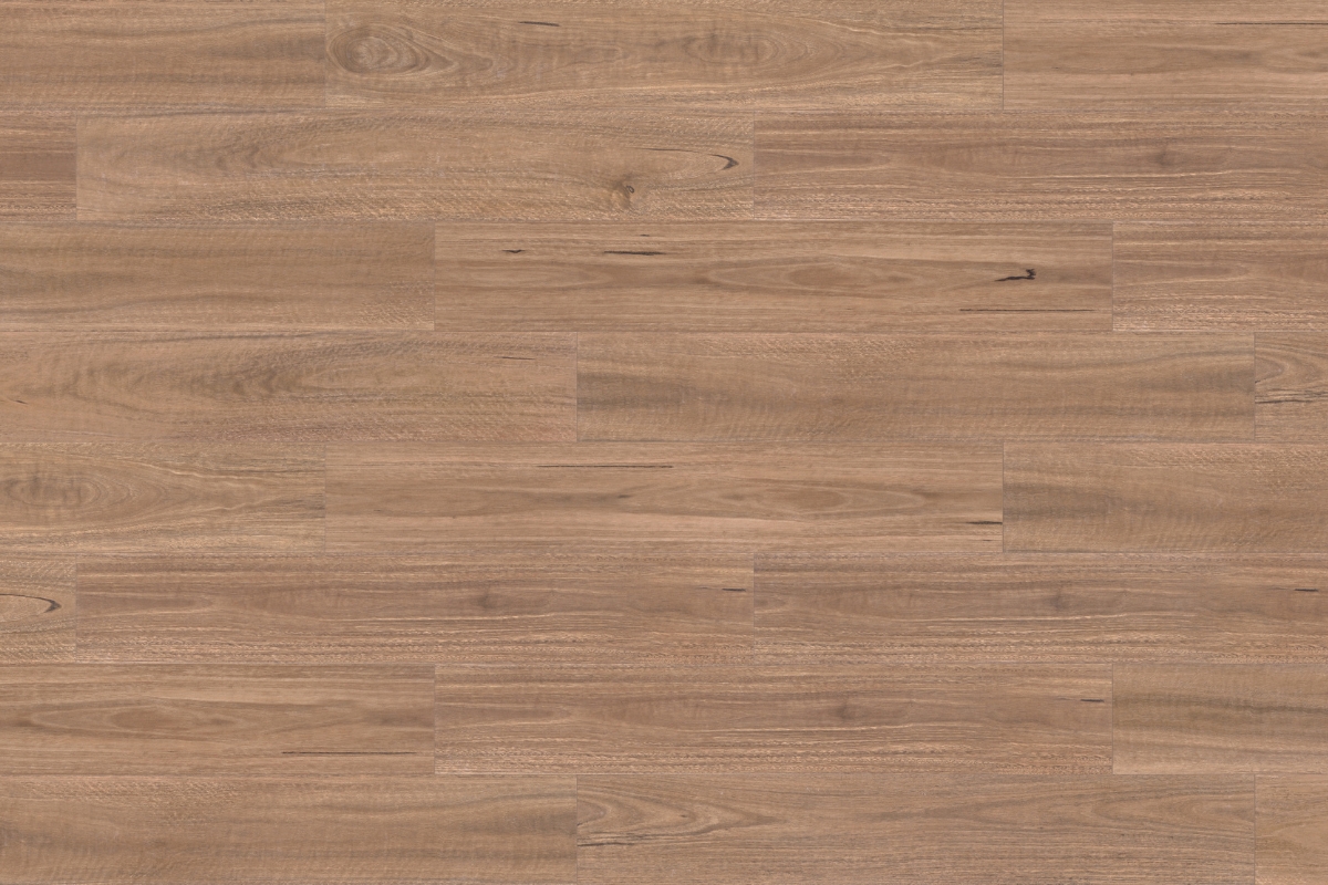 Solomons Flooring - riverina-spotted-gum-elem