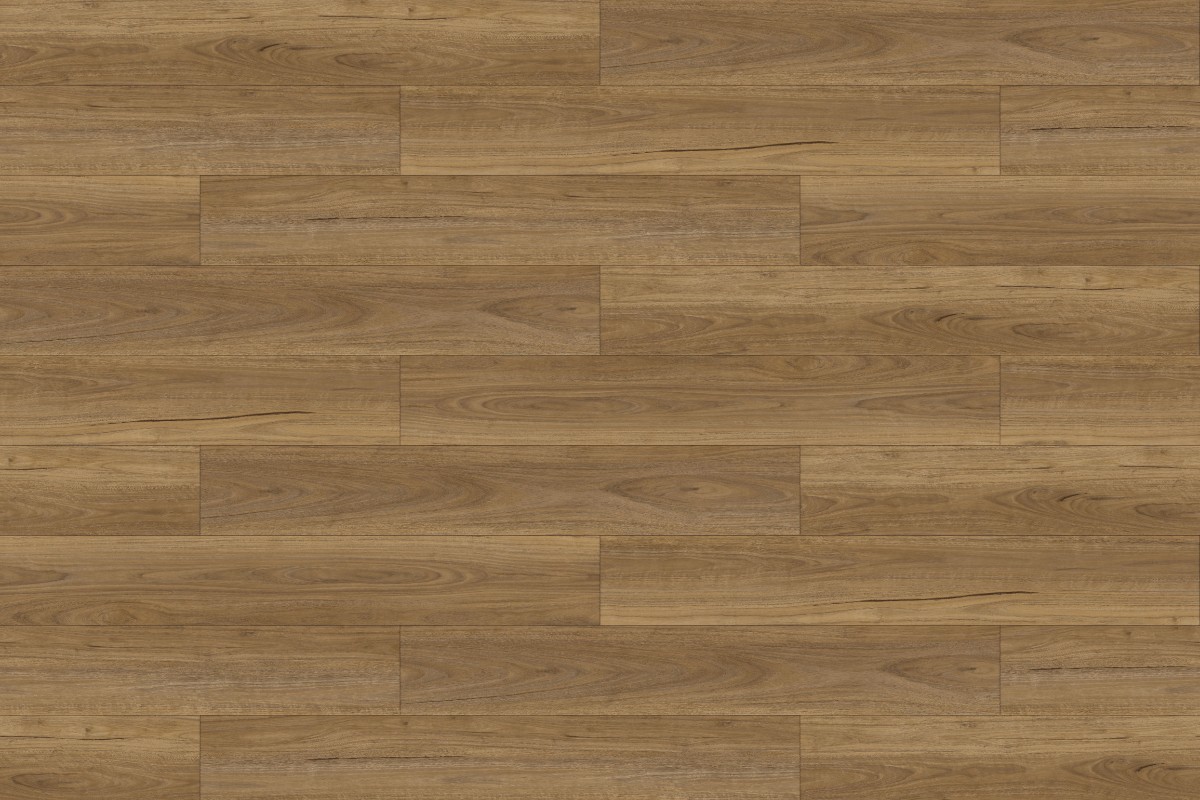 Solomons Flooring - light-spotted-gum-timber-trends