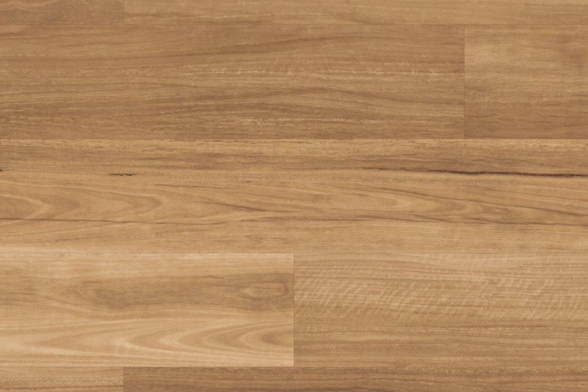 Solomons Flooring - lemon-spotted-gum