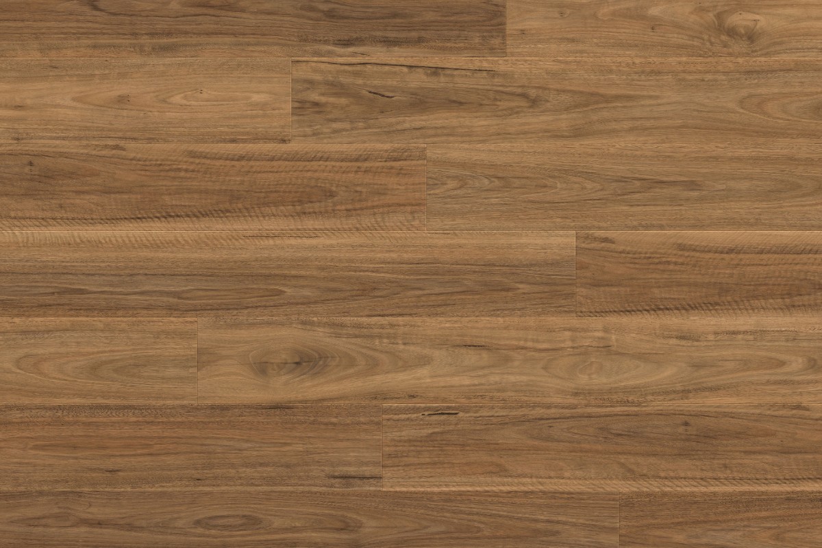 Solomons Flooring - spotted-gum-pg
