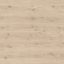 Solomons-laminate-PG7056