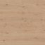Solomons-laminate-PG7057