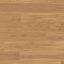 Solomons-laminate-PG7061