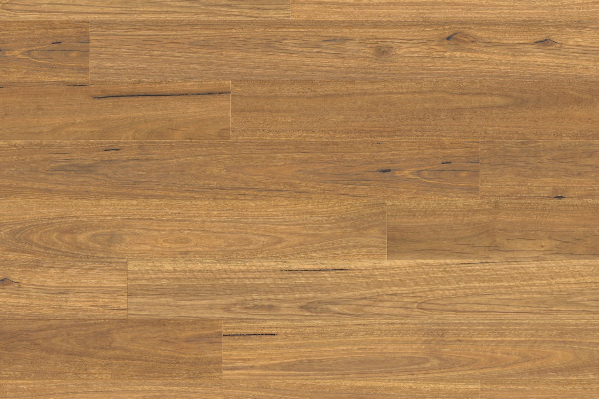 Solomons Flooring - spotted-gum-pergot
