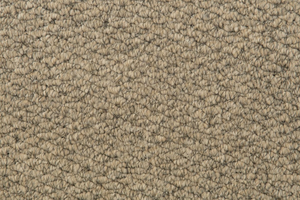 Solomons Flooring - fossick-gold-rush