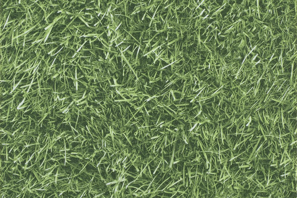 Solomons Flooring - cricket-green-primetex