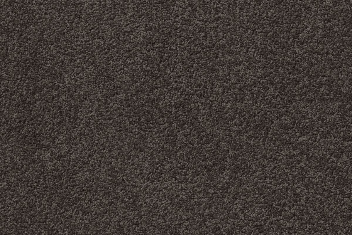 Solomons Flooring - stolen-base