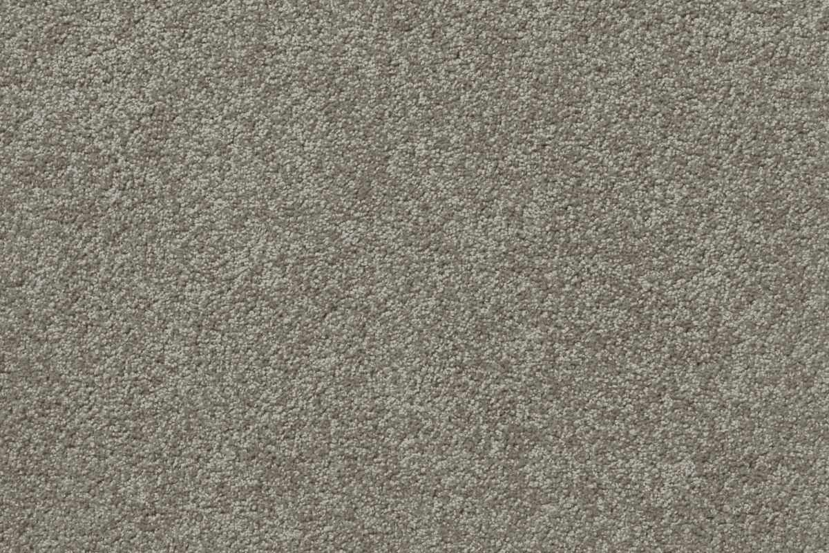 Solomons Flooring - snoopy-rock-on-the-rocks