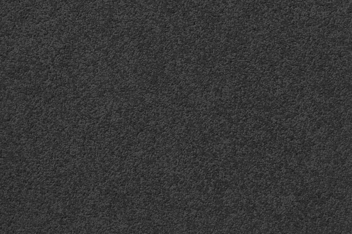 Solomons Flooring - raven-trail-on-the-rocks