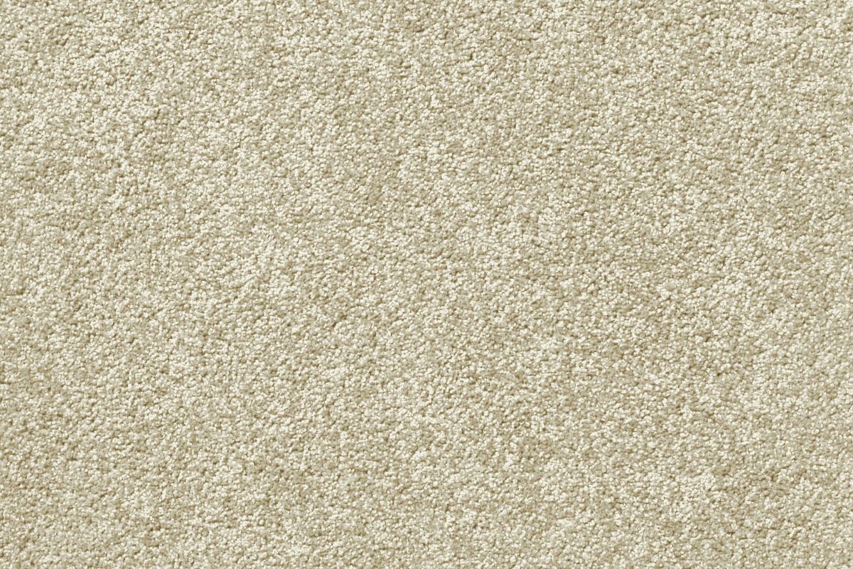 Solomons Flooring - trailhead-on-the-rocks