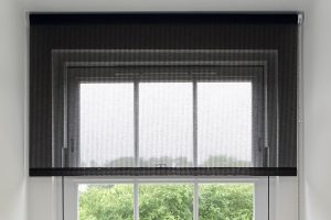 Balmoral Light Filtering