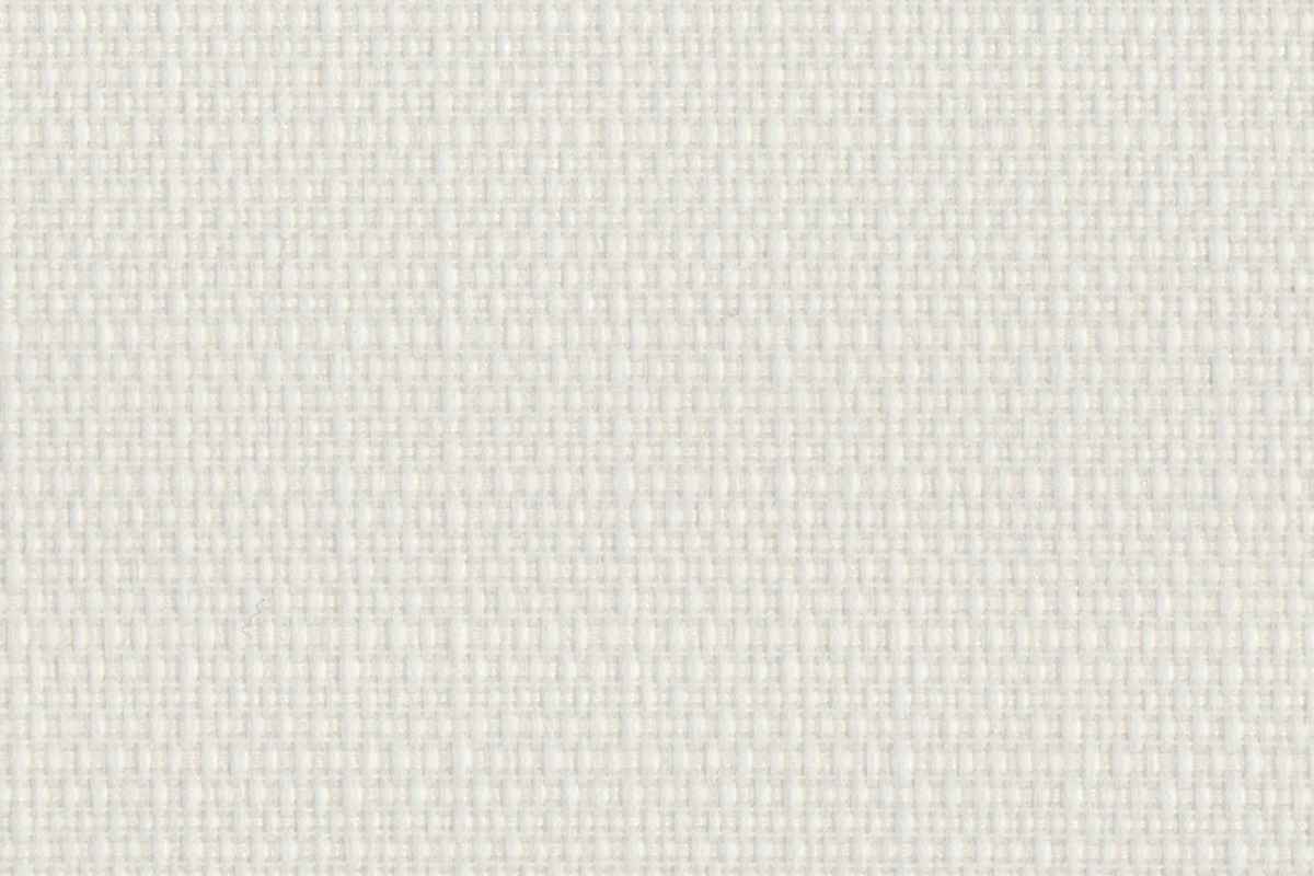 Solomons Flooring - llama-serengeti-light-filtering