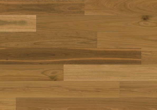 Solomons Flooring - spotted-gum-timber-aussie-outback