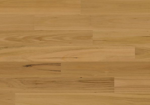 Solomons Flooring - blackbutt-timber-aussie-outback