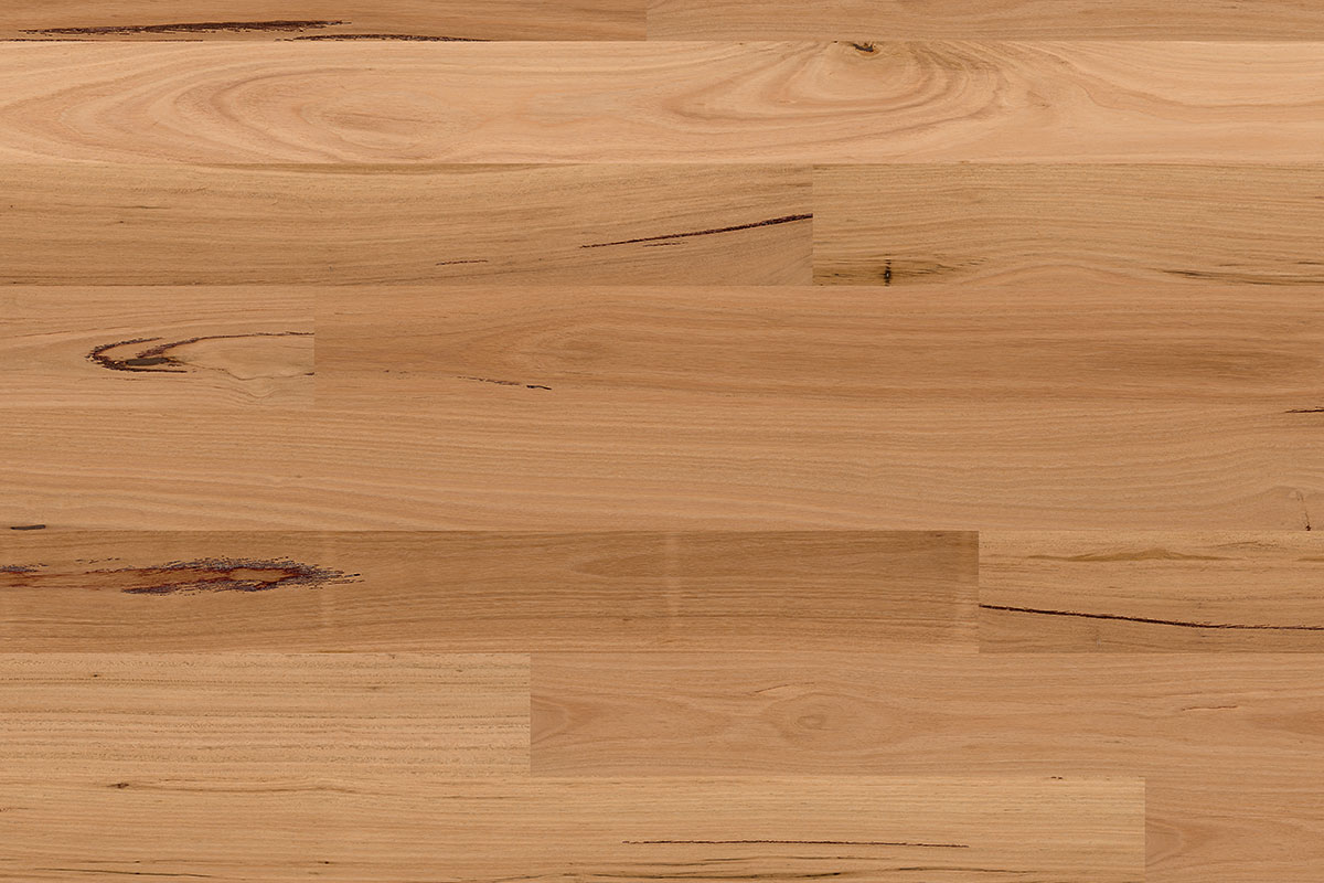 Solomons Flooring - blackbutt-timber-xl