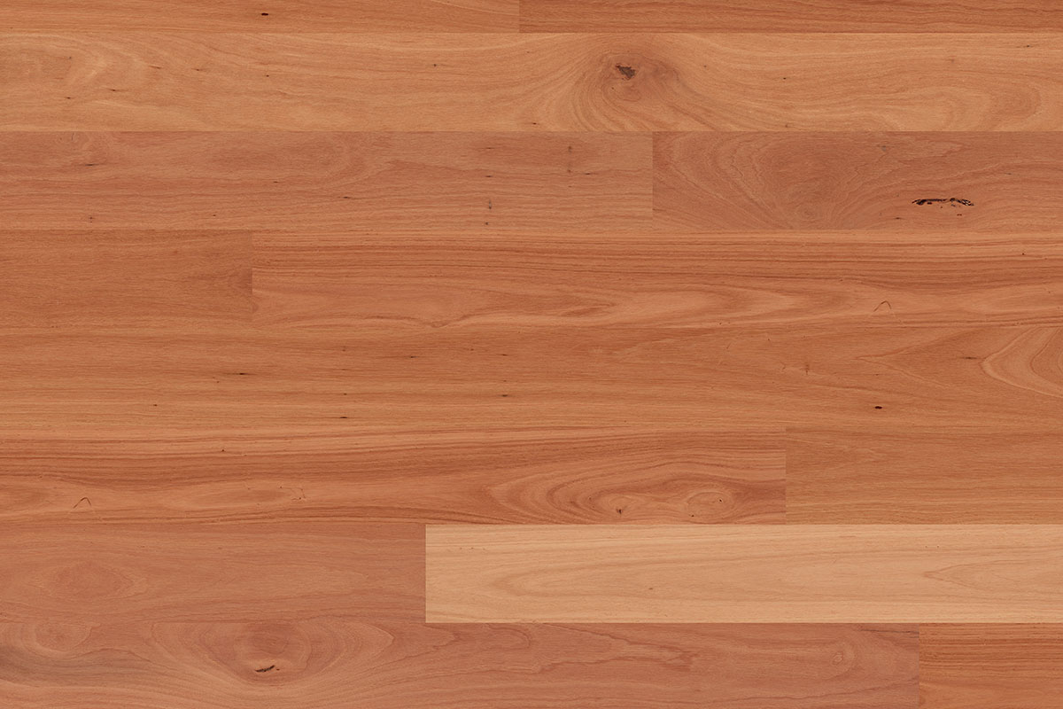 Solomons Flooring - sydney-blue-grass