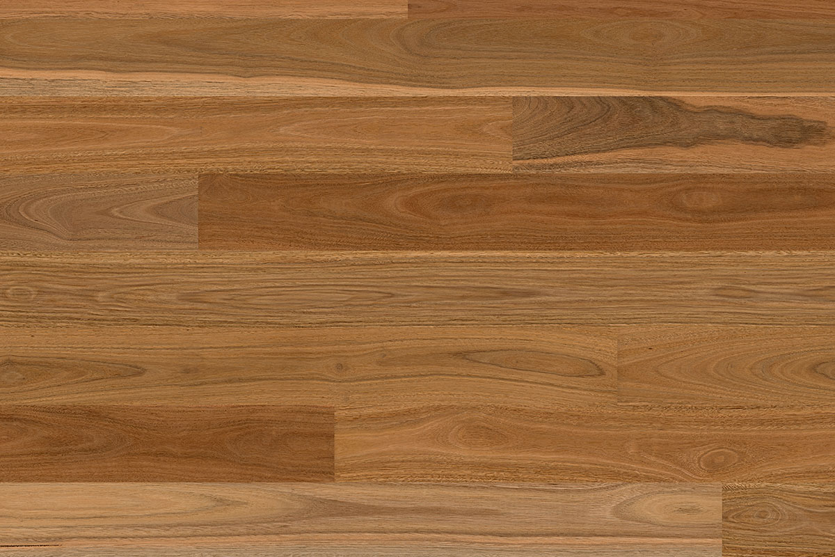 Solomons Flooring - spotted-gum