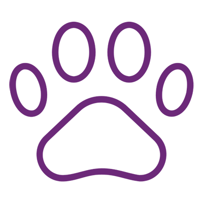 Solomons Flooring - paws Icon