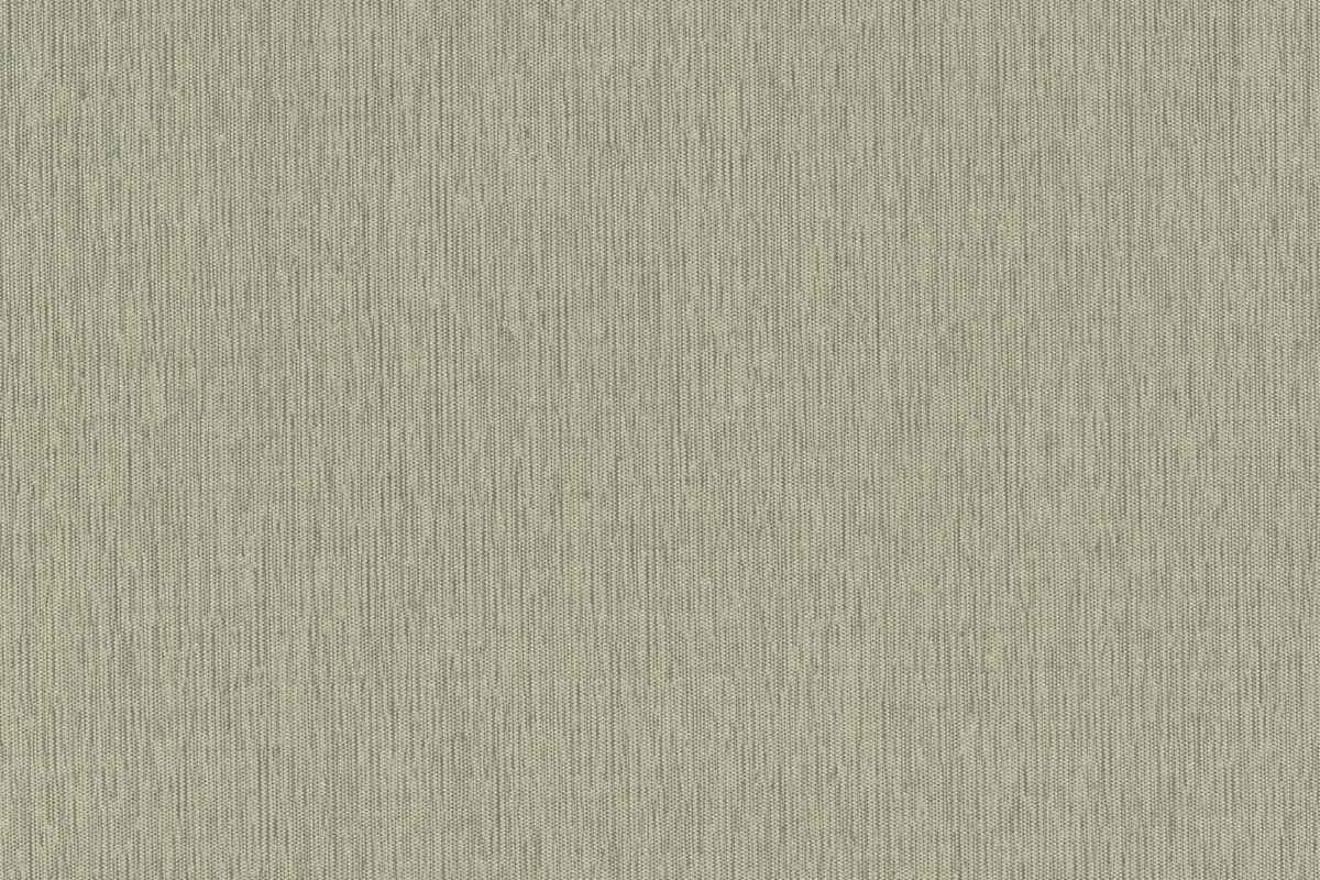 Solomons Flooring - fossil-bounty